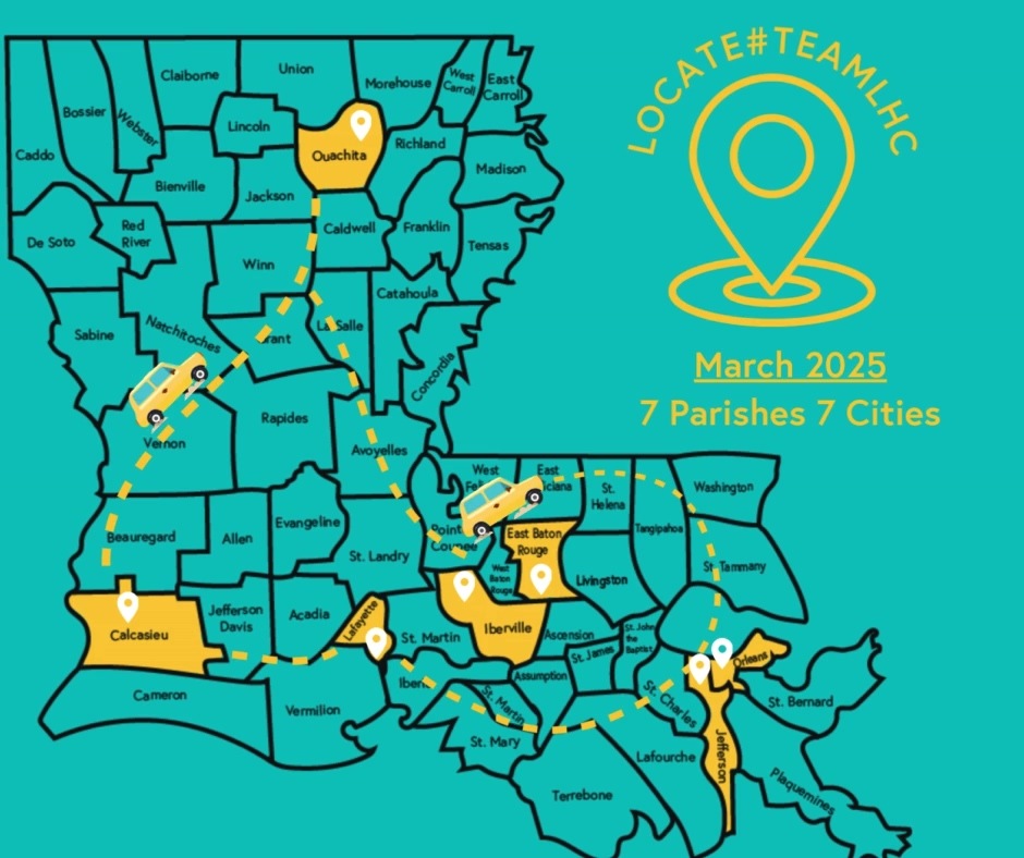 LHC Around the state (13)